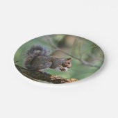 リスの紙皿 ペーパープレート (アングル)