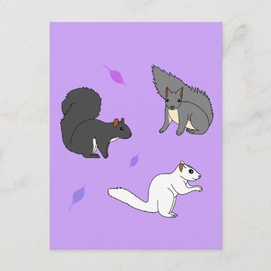 リスの紫 ポストカード (正面)