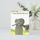 リスの葉書からおもしろいこの写真を取る ポストカード (スタンド正面)