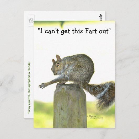 リスの葉書からおもしろいこの写真を取る ポストカード (正面/裏面)