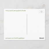 リスの葉書からおもしろいこの写真を取る ポストカード (裏面)