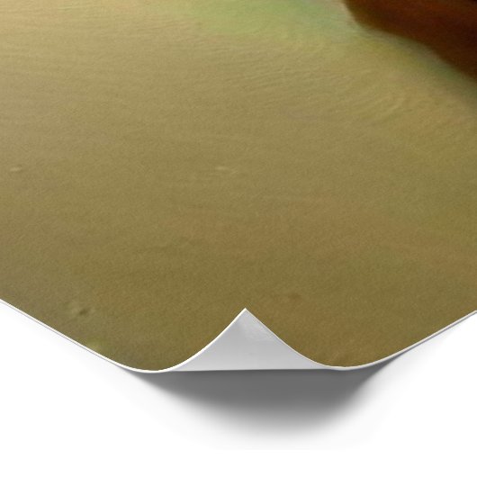 リスの薬 ポスター (角)