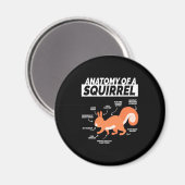 リスの解剖学 マグネット (正面/裏面)