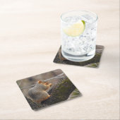 リスの賞 スクエアペーパーコースター (インサイチュ)