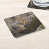 リスの賞 スクエアペーパーコースター (アングル)