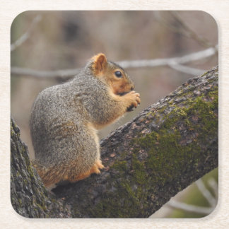 リスの賞 スクエアペーパーコースター