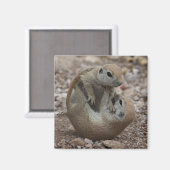 リスの起伏マグネット マグネット (正面/裏面)