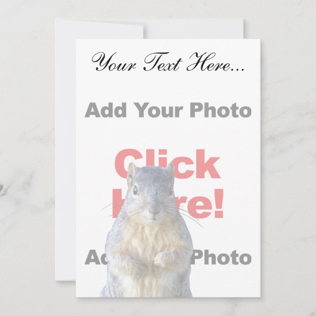 リスの追加カスタム方法 (正面)