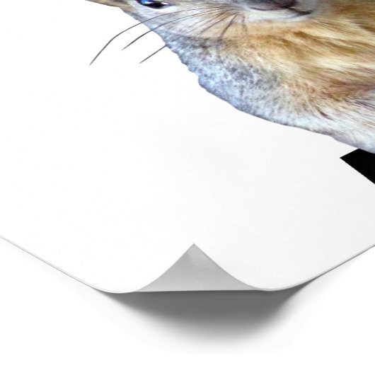 リスの追加カスタム方法 ポスター (角)