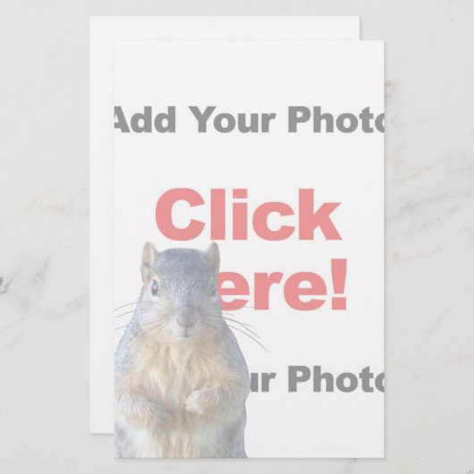 リスの追加カスタム方法 便箋 (正面/裏面)