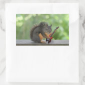 リスの遊エレキギター 長方形シール (バッグ)