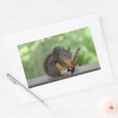 リスの遊エレキギター 長方形シール (封筒)