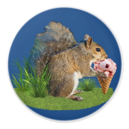 リスの食べ物のアイスクリームコーン セラミックノブ (正面)