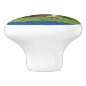 リスの食べ物のアイスクリームコーン セラミックノブ (側面)