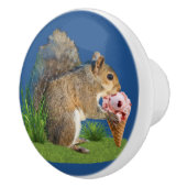 リスの食べ物のアイスクリームコーン セラミックノブ (右)