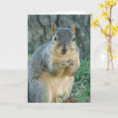 リスの食べ物のドングリ カード (黄色い花)