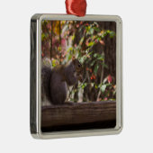 リスの食事の時間 メタルオーナメント (右)