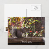 リスの食事タイム感謝のポストカード ポストカード (正面/裏面)