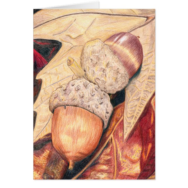 リスの食糧 (正面)