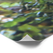 リスの魚クローズアップ ポスター (角)