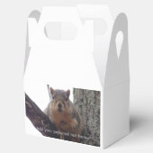 リスはあなたのギフトボックスを見て フェイバーボックス (オープン)