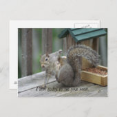 リスはがき ポストカード (正面/裏面)