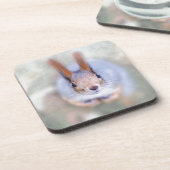 リスは下から上まで見ている コースター (左側)