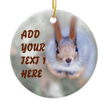 リスは下から上まで見ている