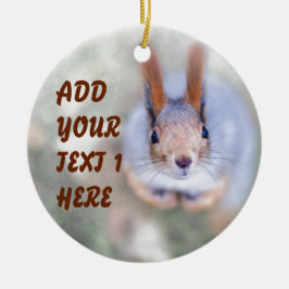 リスは下から上まで見ている セラミックオーナメント