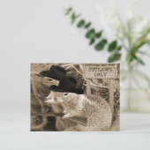 リスは古い西の国を支配している ポストカード (スタンド正面)