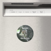 リスは私にスマイル動物の磁石をします マグネット (インサイチュ (食洗機))