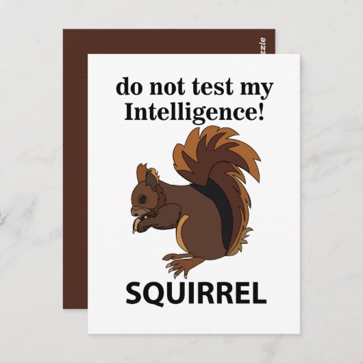 リスは私の知性リスをテストしない ポストカード (正面/裏面)