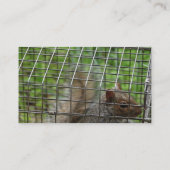 リスは罠にかかっている 名刺 (裏面)