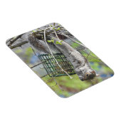 リスぶら下がったルの逆さ食べの マグネット (右側)