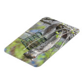 リスぶら下がったルの逆さ食べの マグネット (左側)