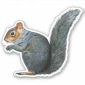 リスよくはしゃぐルのビニールのシール シール (正面)