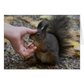 リスを殴る (正面横)