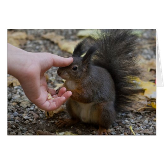 リスを殴る (正面横)