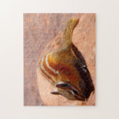 リスイエローストーン。 ジグソーパズル (縦)