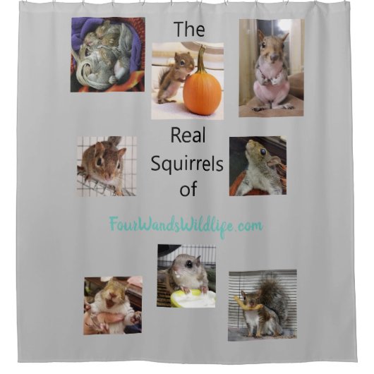 リスクリーン シャワーカーテン (正面)