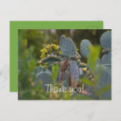 リスサンキューカード ポストカード (正面/裏面)