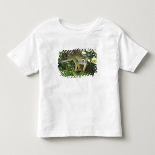 リスザル (Saimiri sciureus) リオ トドラーTシャツ