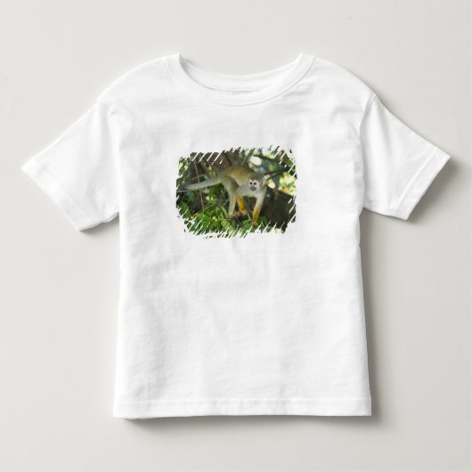 リスザル (Saimiri sciureus) リオ トドラーTシャツ (正面)