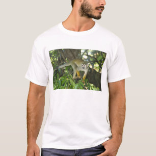 リスザル (Saimiri sciureus) リオ Tシャツ