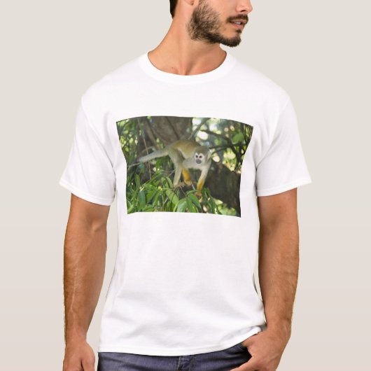 リスザル (Saimiri sciureus) リオ Tシャツ (正面)