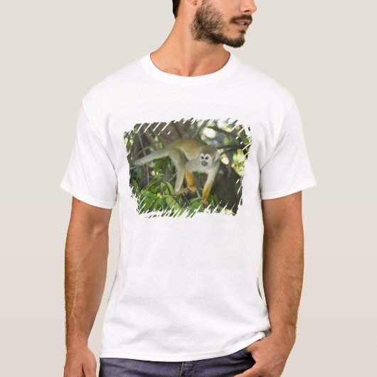 リスザル (Saimiri sciureus) リオ Tシャツ (正面)