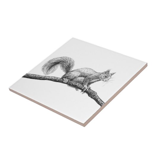 リススケッチ タイル (側面)