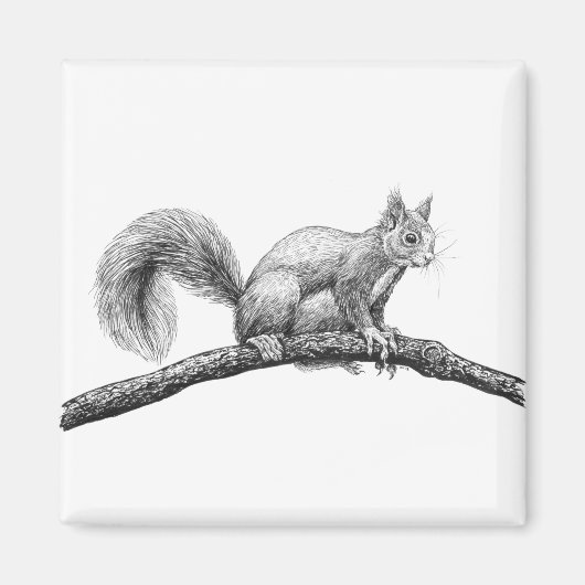 リススケッチ マグネット (正面)