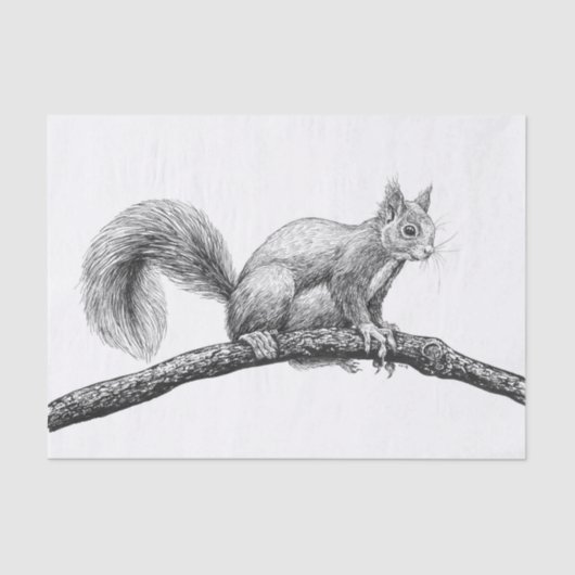 リススケッチ 薄葉紙 (正面)