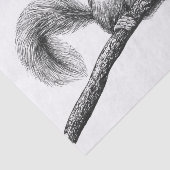 リススケッチ 薄葉紙 (詳細)